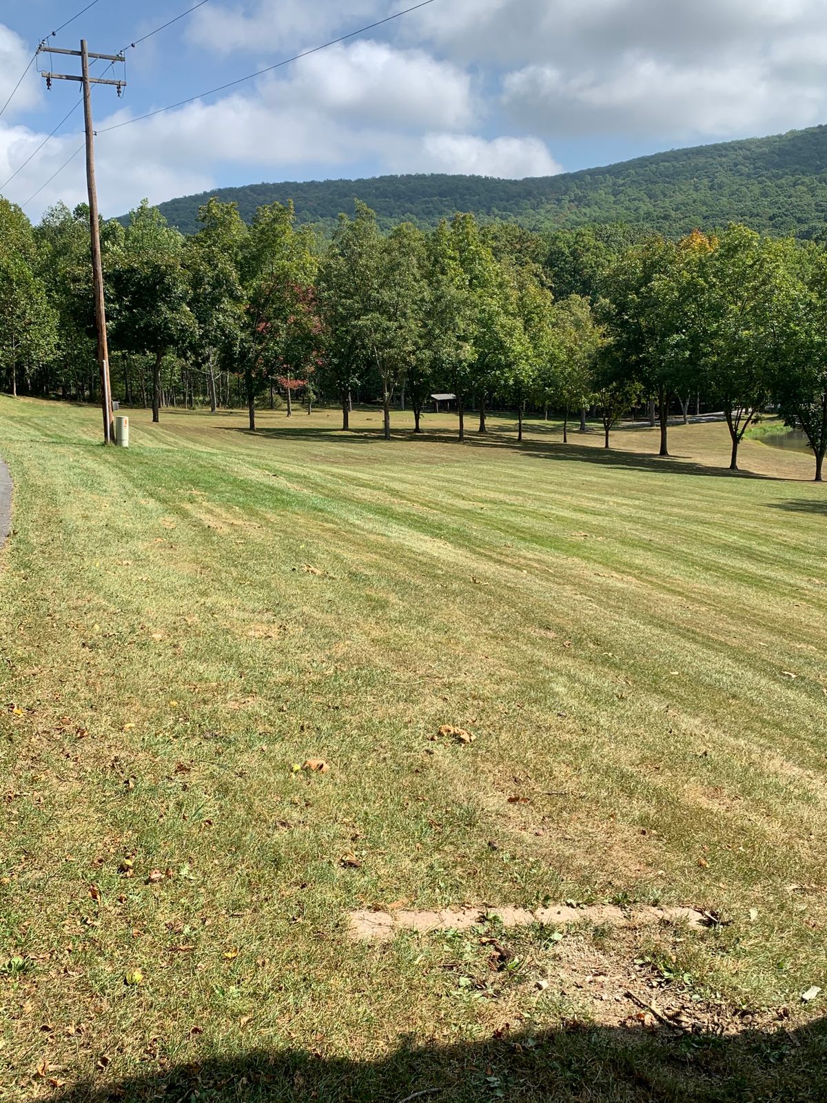 Hole 1, short tee pad