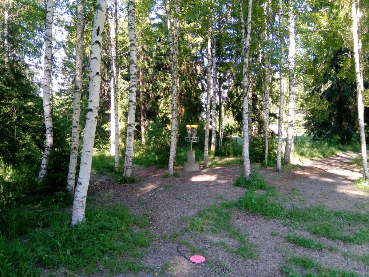 Hole #11 basket (4.7.2022).