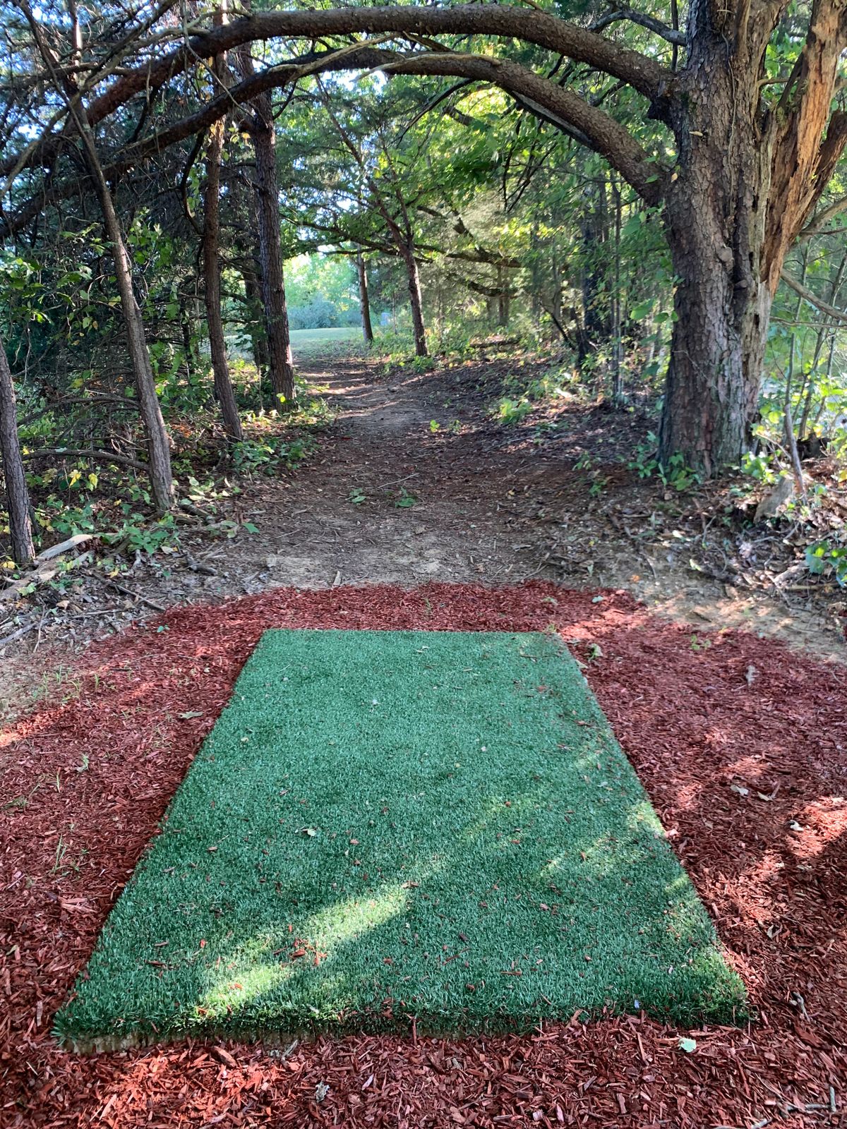 Hole #10, Par 3, 200 ft