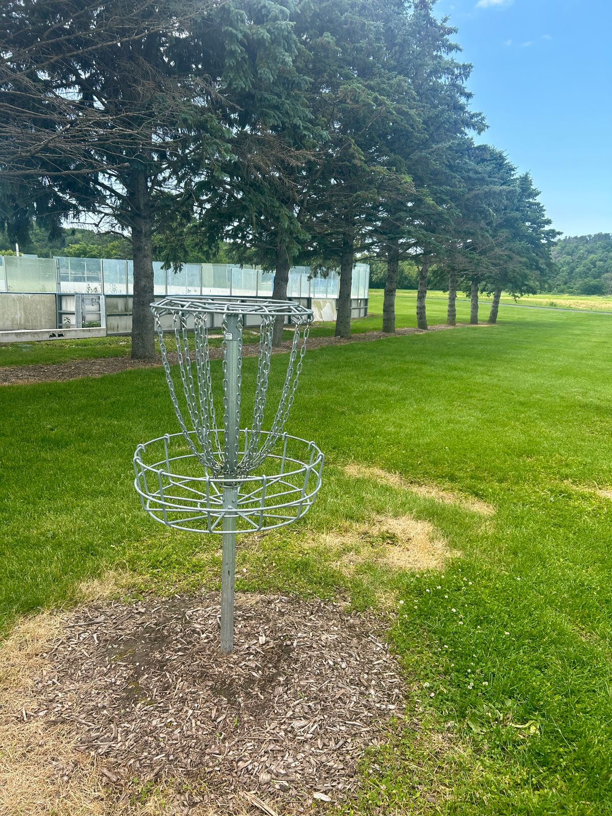 Hole 4 basket