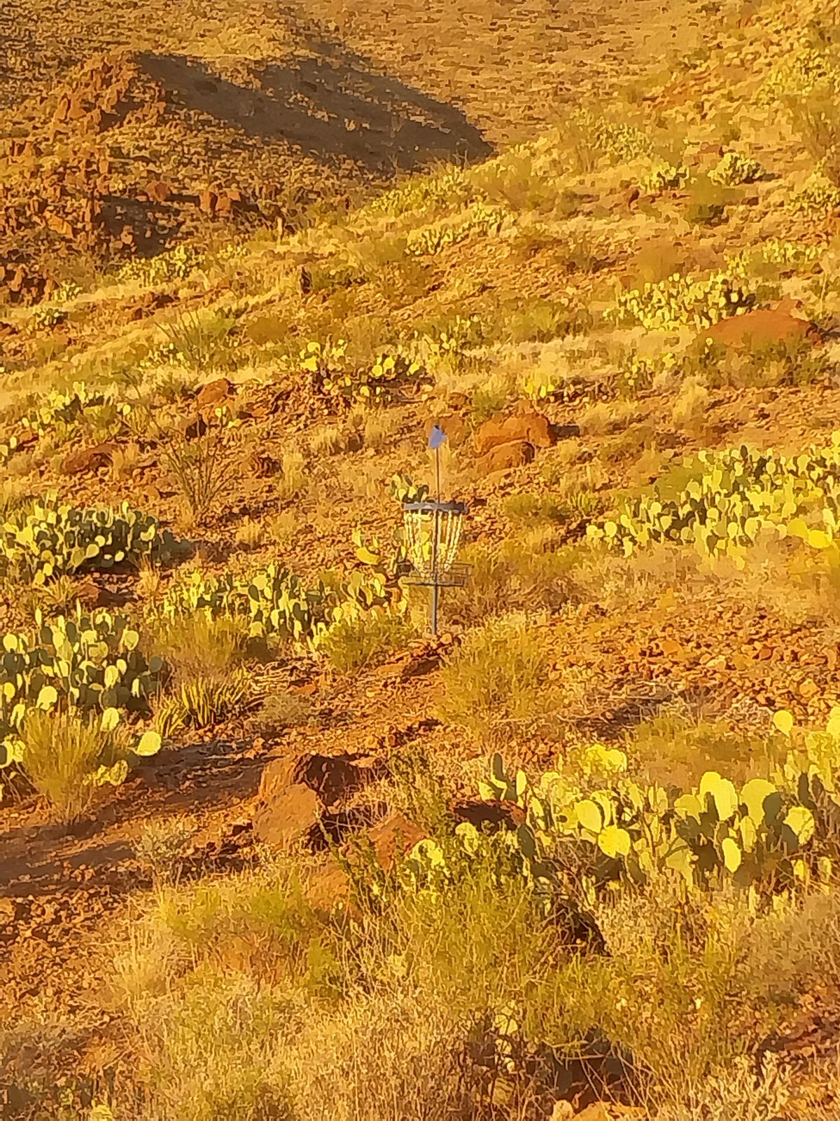 Extreme Desert Disc Golf