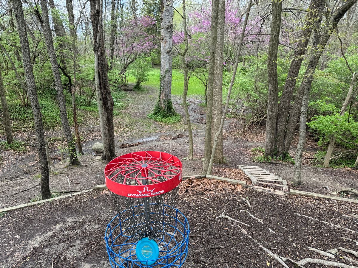 17 basket