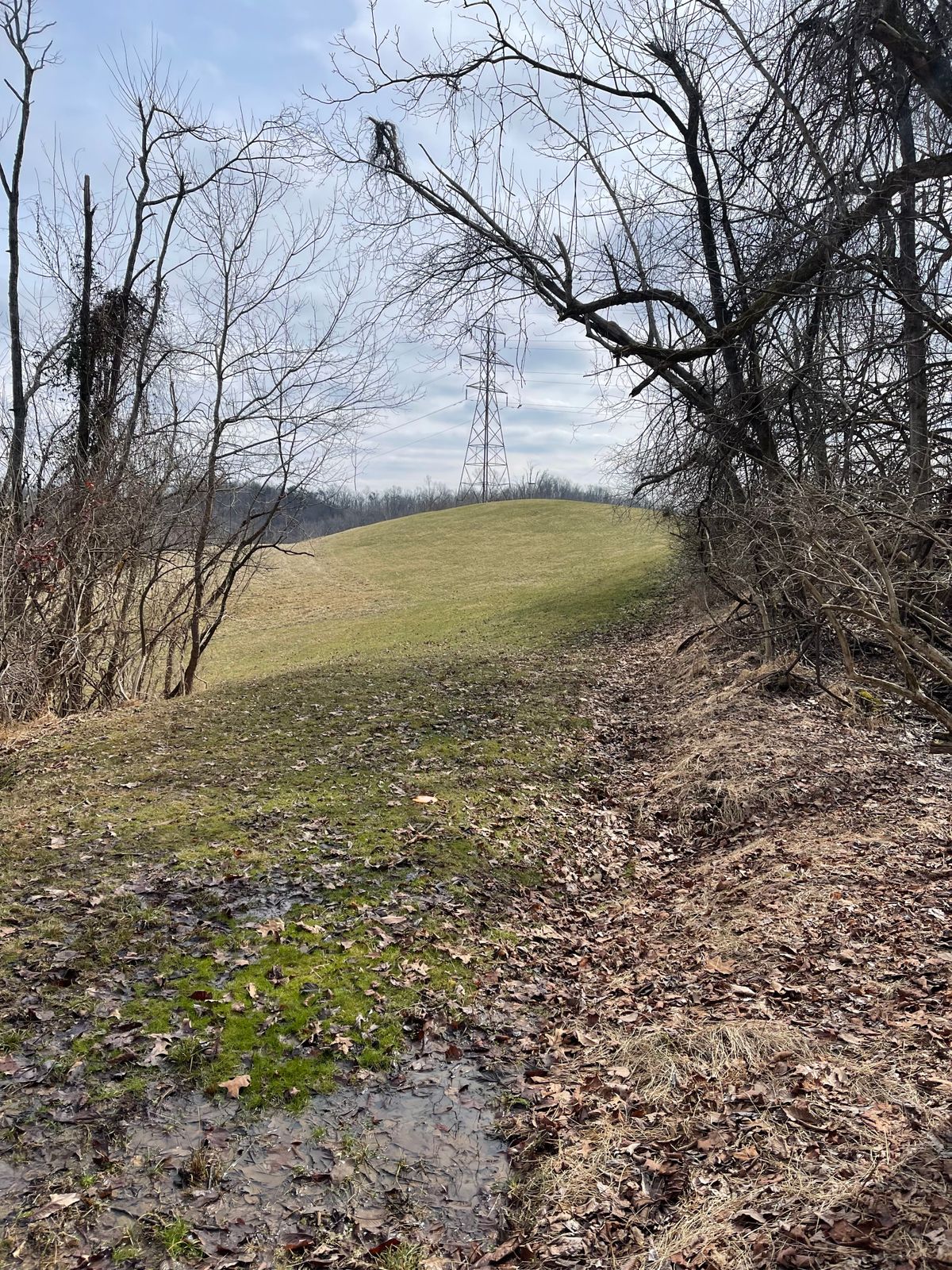 Hole 4 (Fairway)