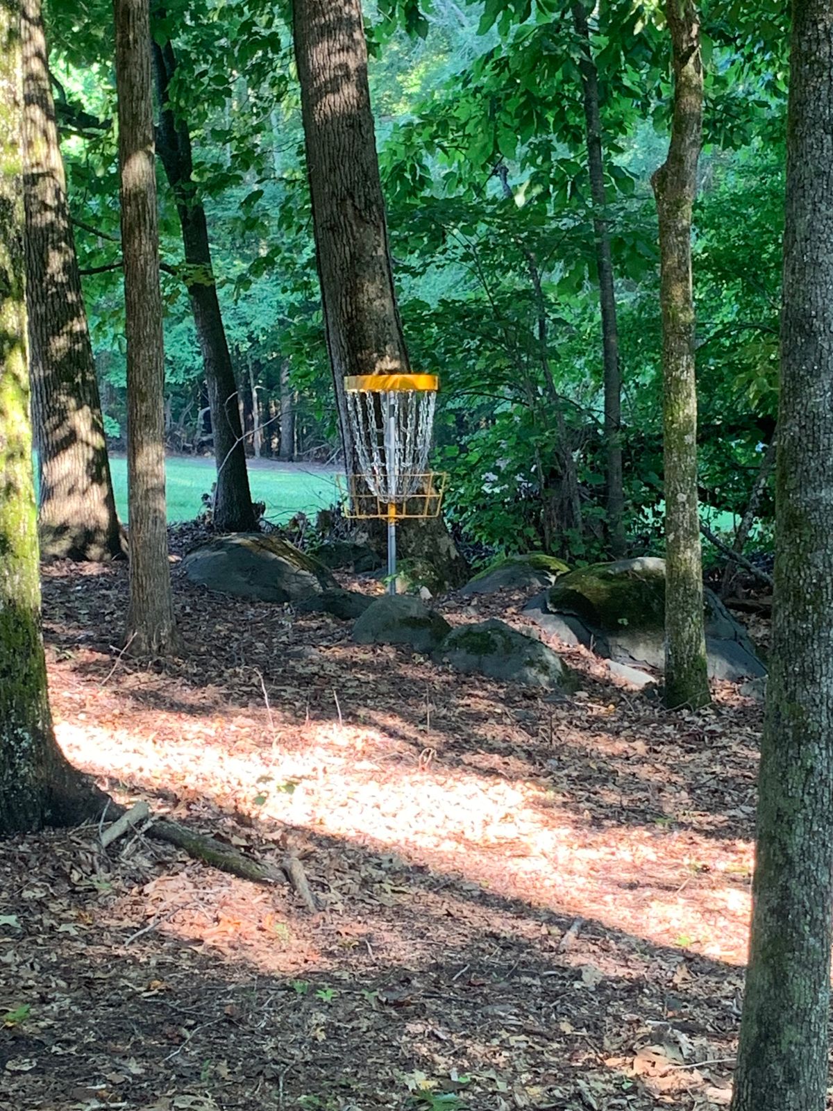 Hole 3 Basket. 