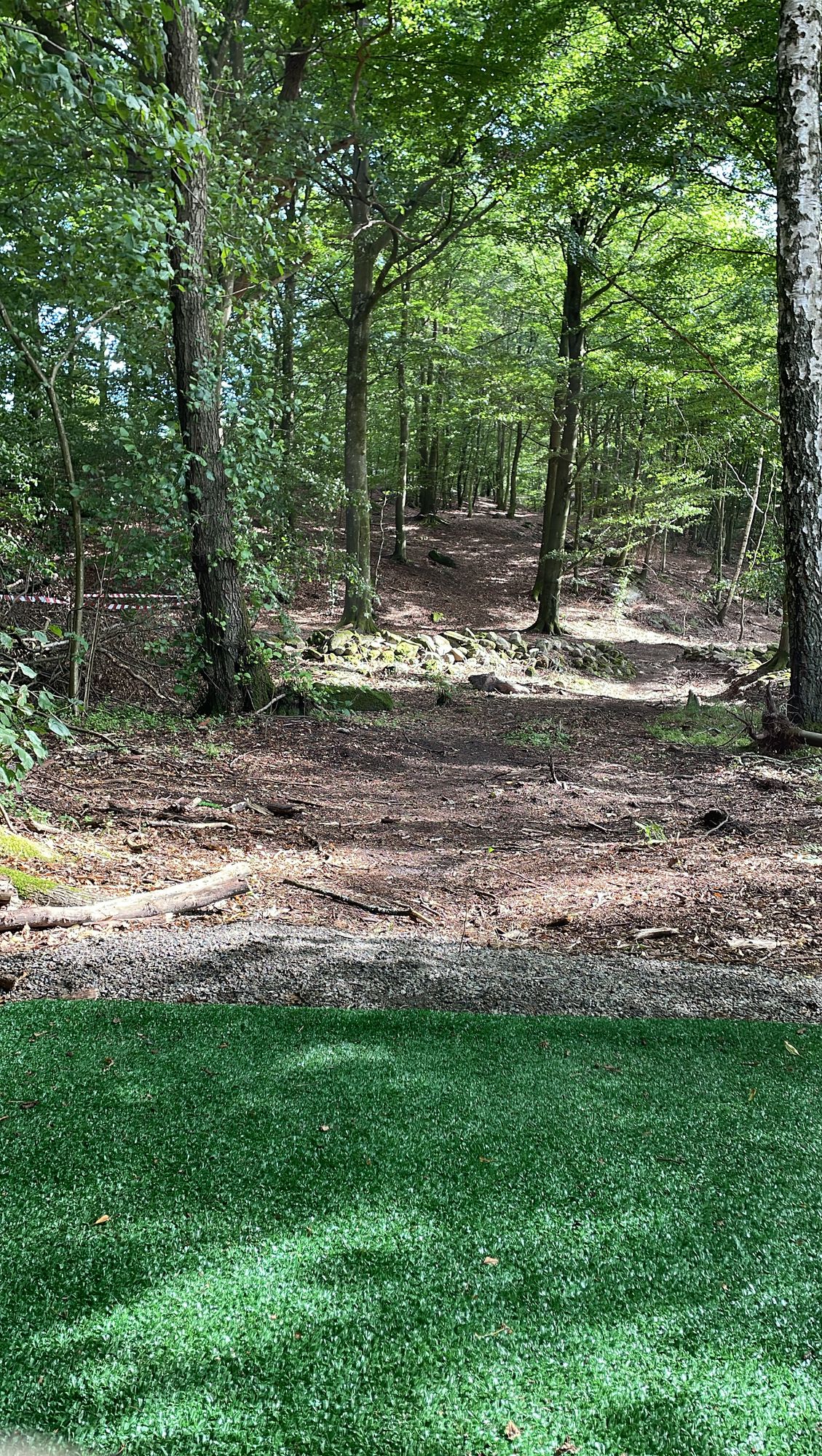 Hole 12 on Skogsbanan/Woodland Course (”The Hunting Tower”)