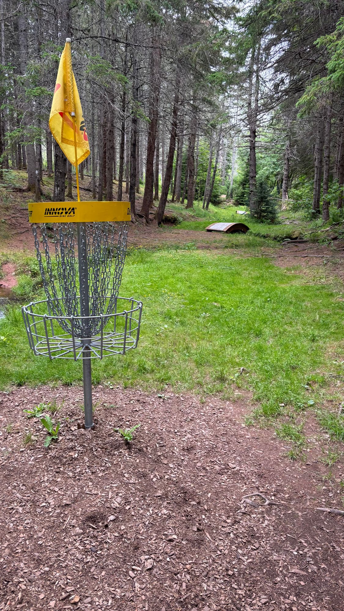 Really scenic hold over a few streams. 👍