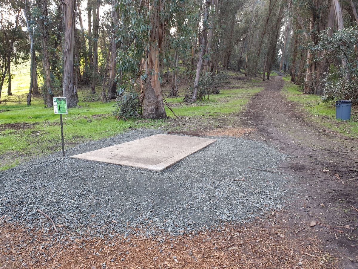 Hole two entering Sherwood Forest.