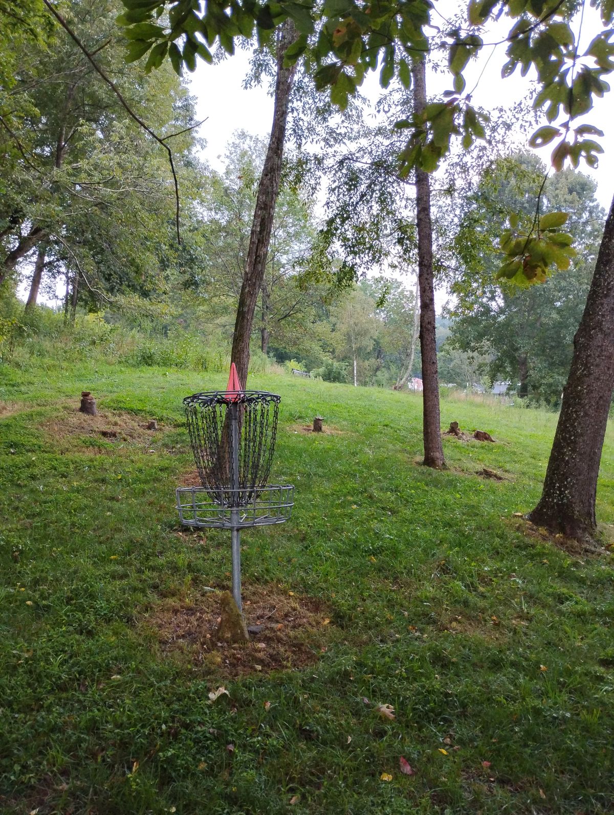 Hole 1 looking back to teebox
