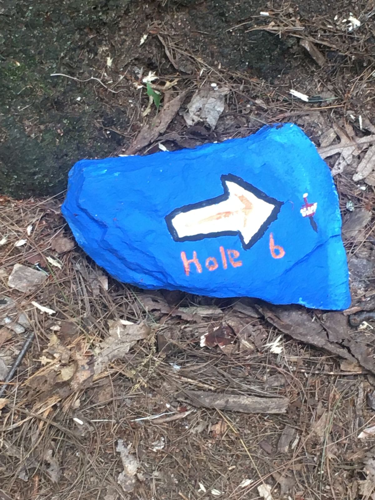 Look for painted rocks for additional direction