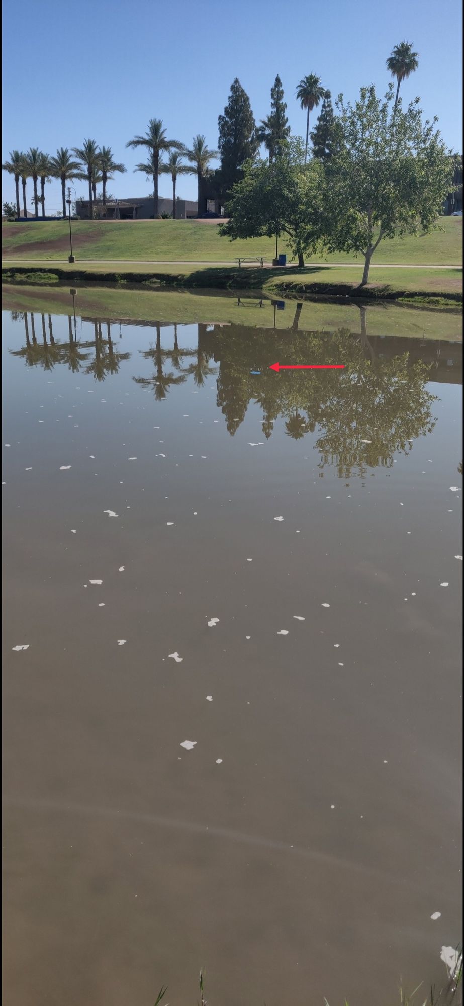 Lost disc on hole 11 :'(