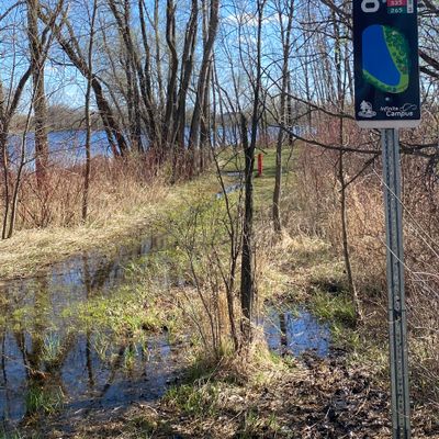 Hole 8 is a public pool