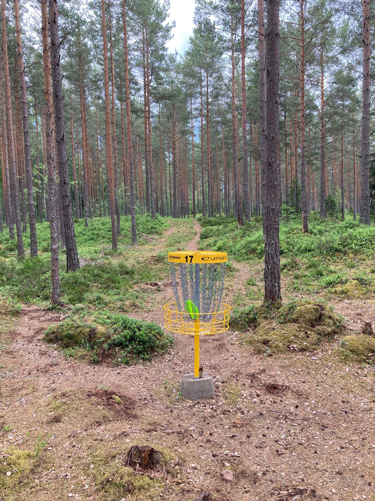 Green hål 17