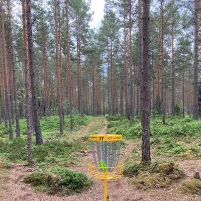 Green hål 17