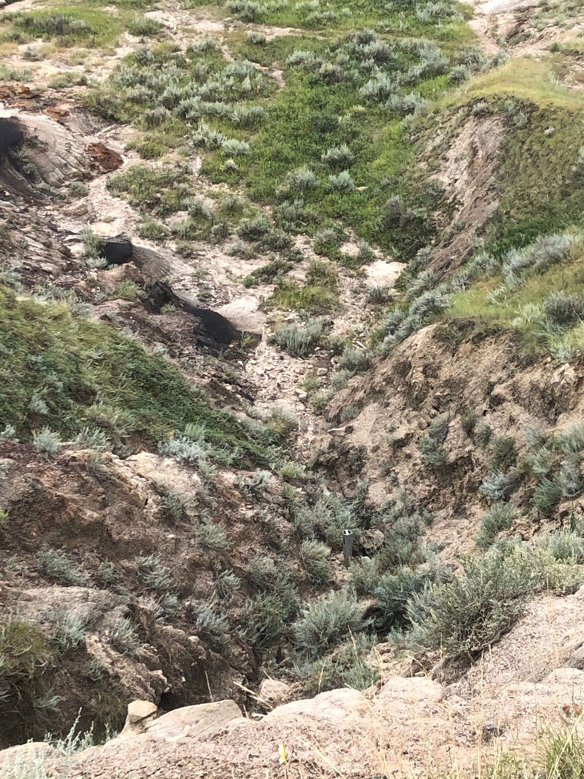 Looking down on 11 tone hidden in the crevice