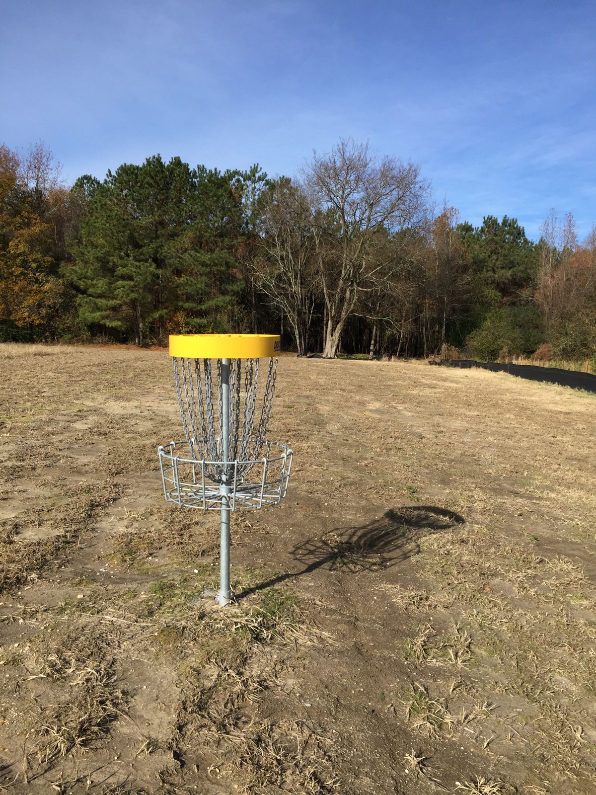 Hole #10 Basket to Tee