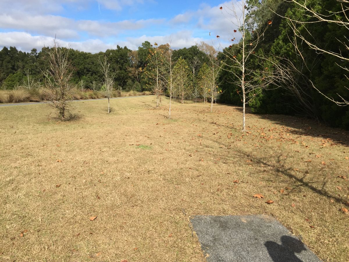Hole 12