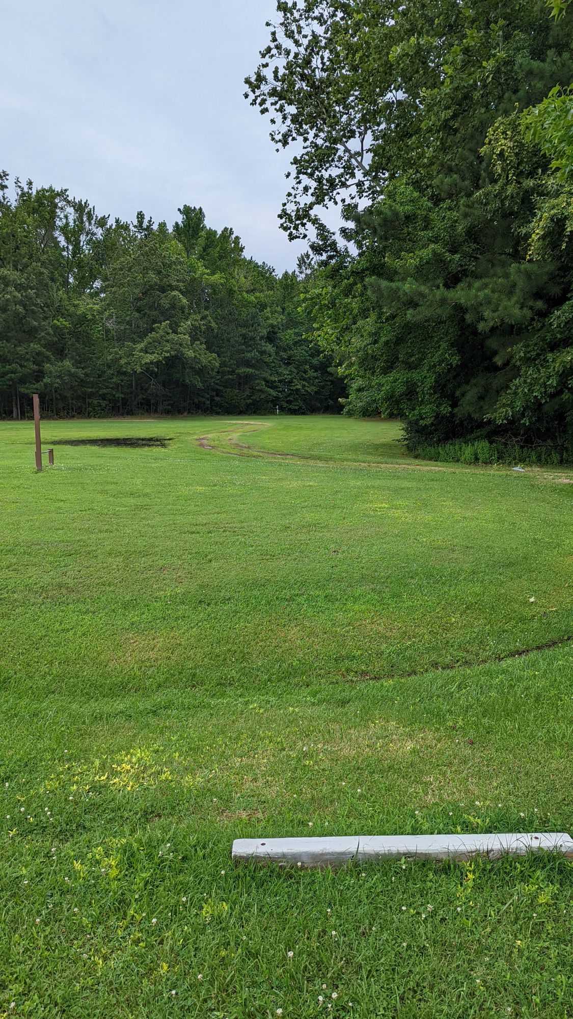Hole 6 white tee