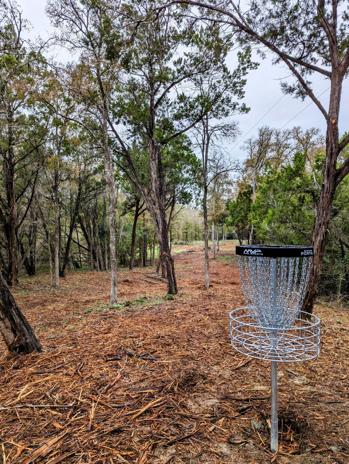 Hole 7 Basket