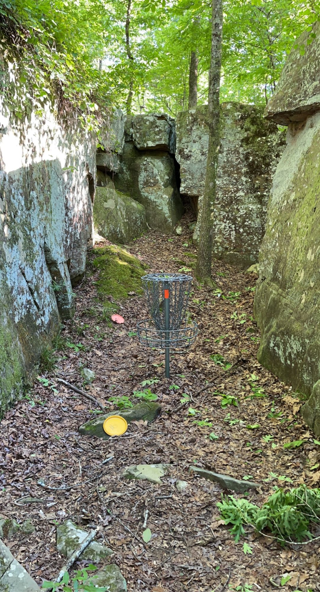 Green for Hole 4