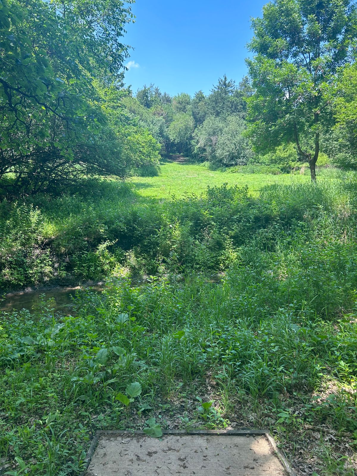 Hole 11