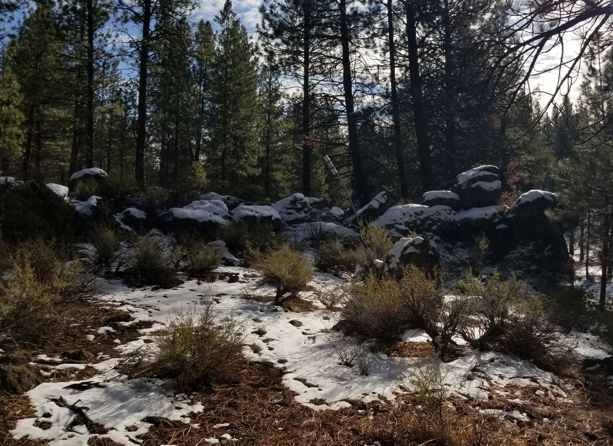 Hole 13 Pin