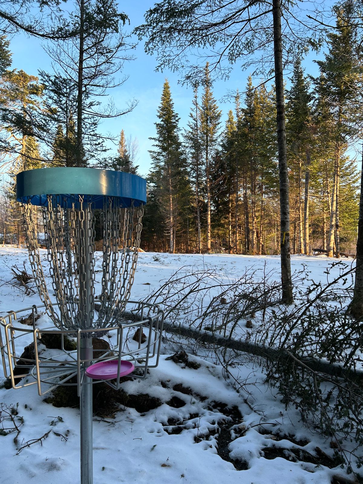 NRHS Disc Golf Course