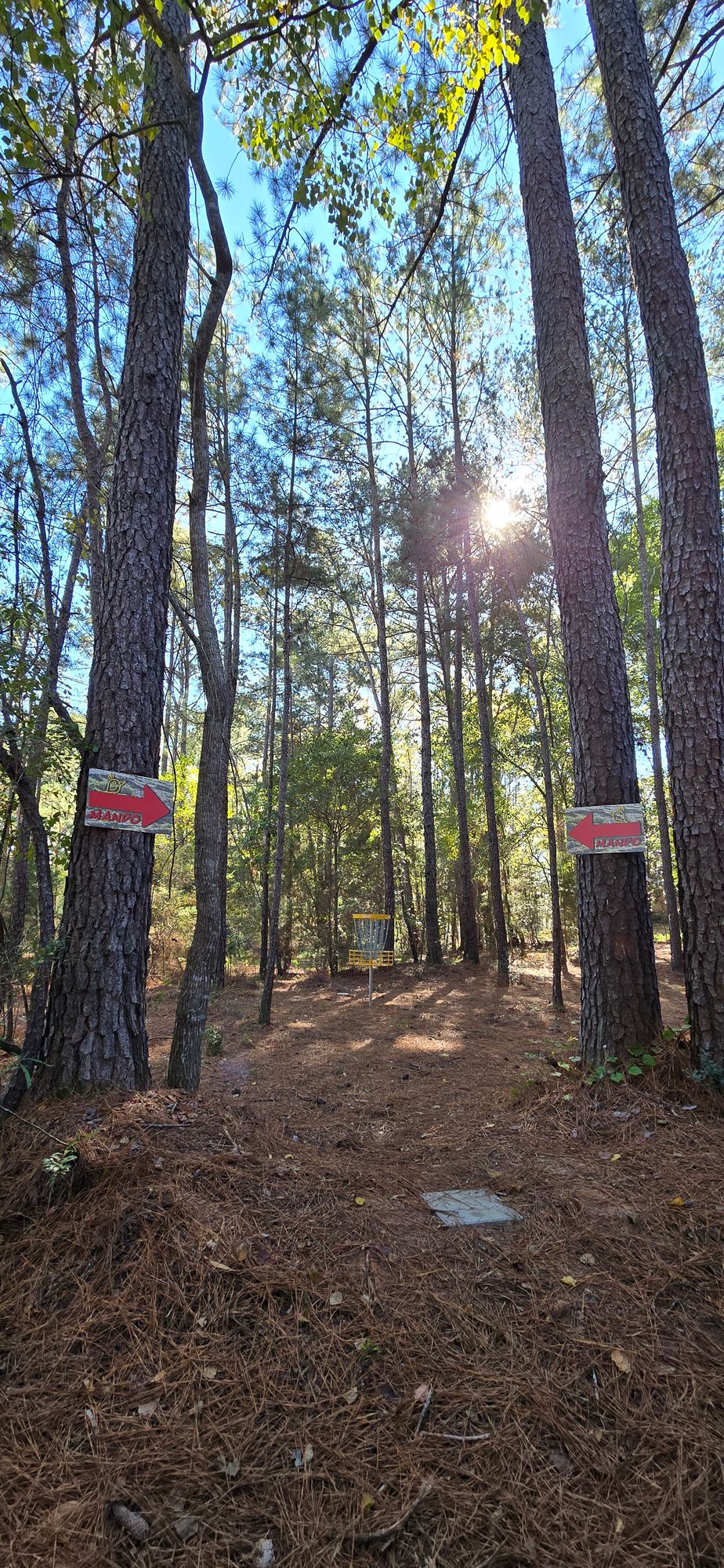 Hole 8's double mando!