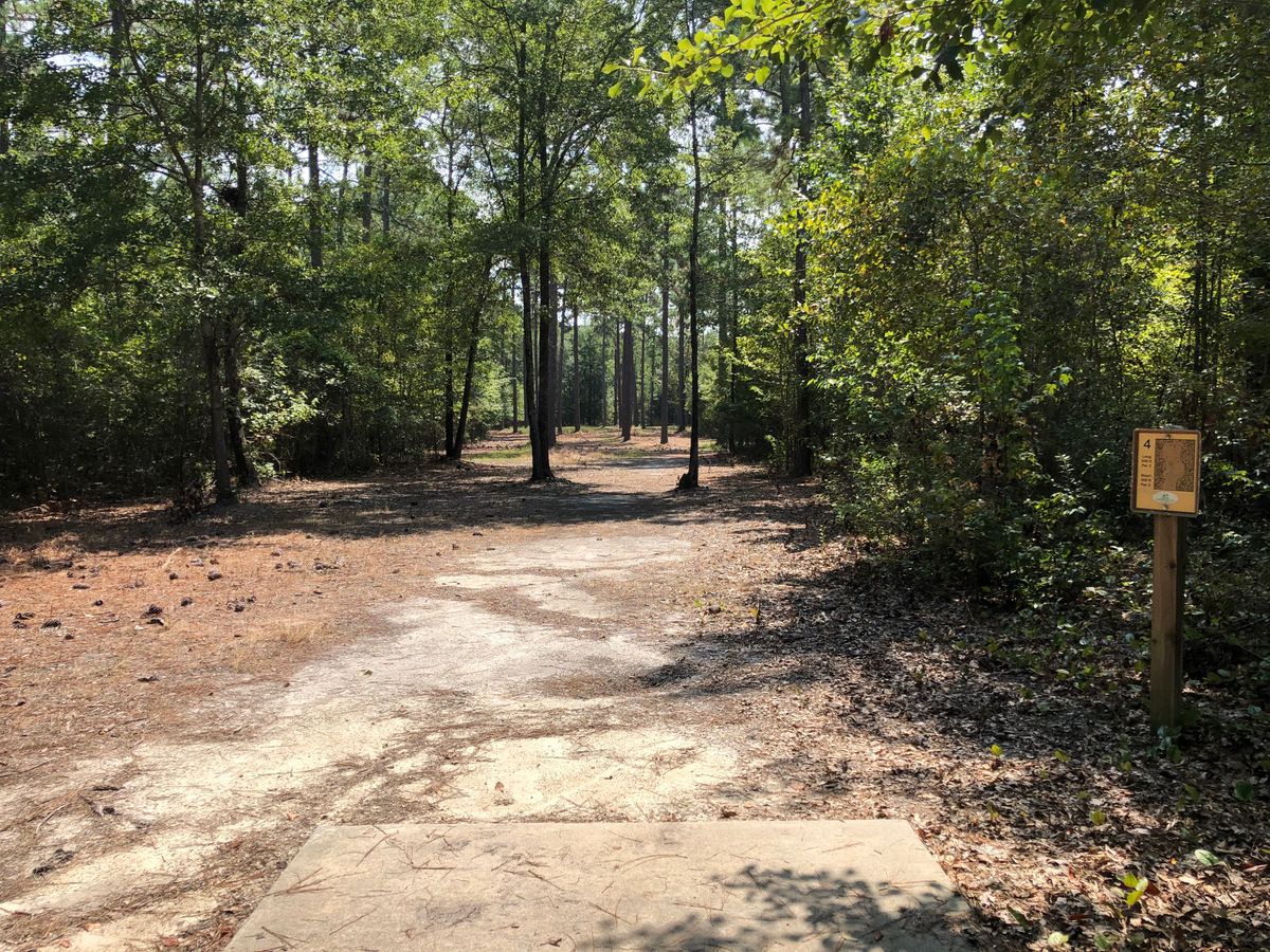 Hole 4 - Gold