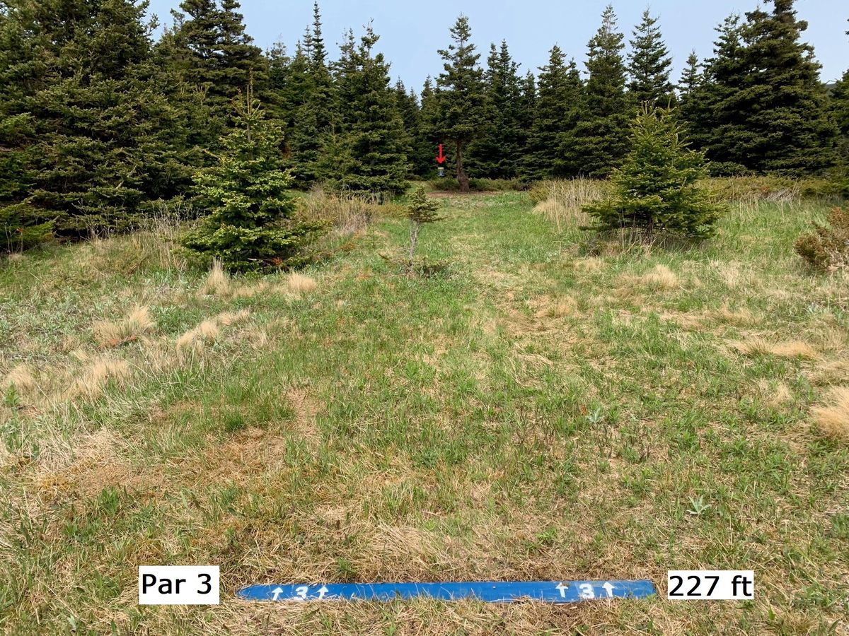 Hole 3
Par 3 - 227'