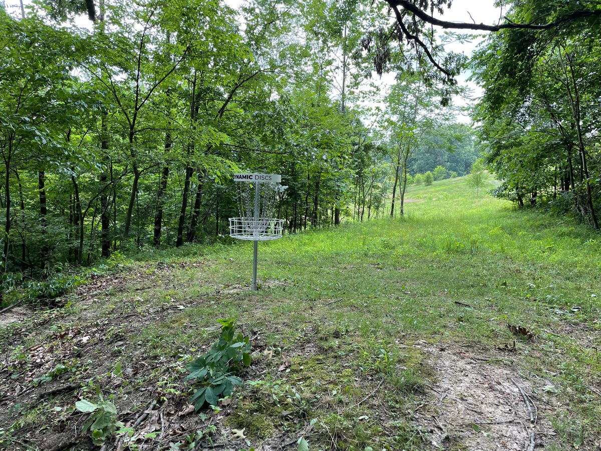 Behind basket looking to opening in woods.
