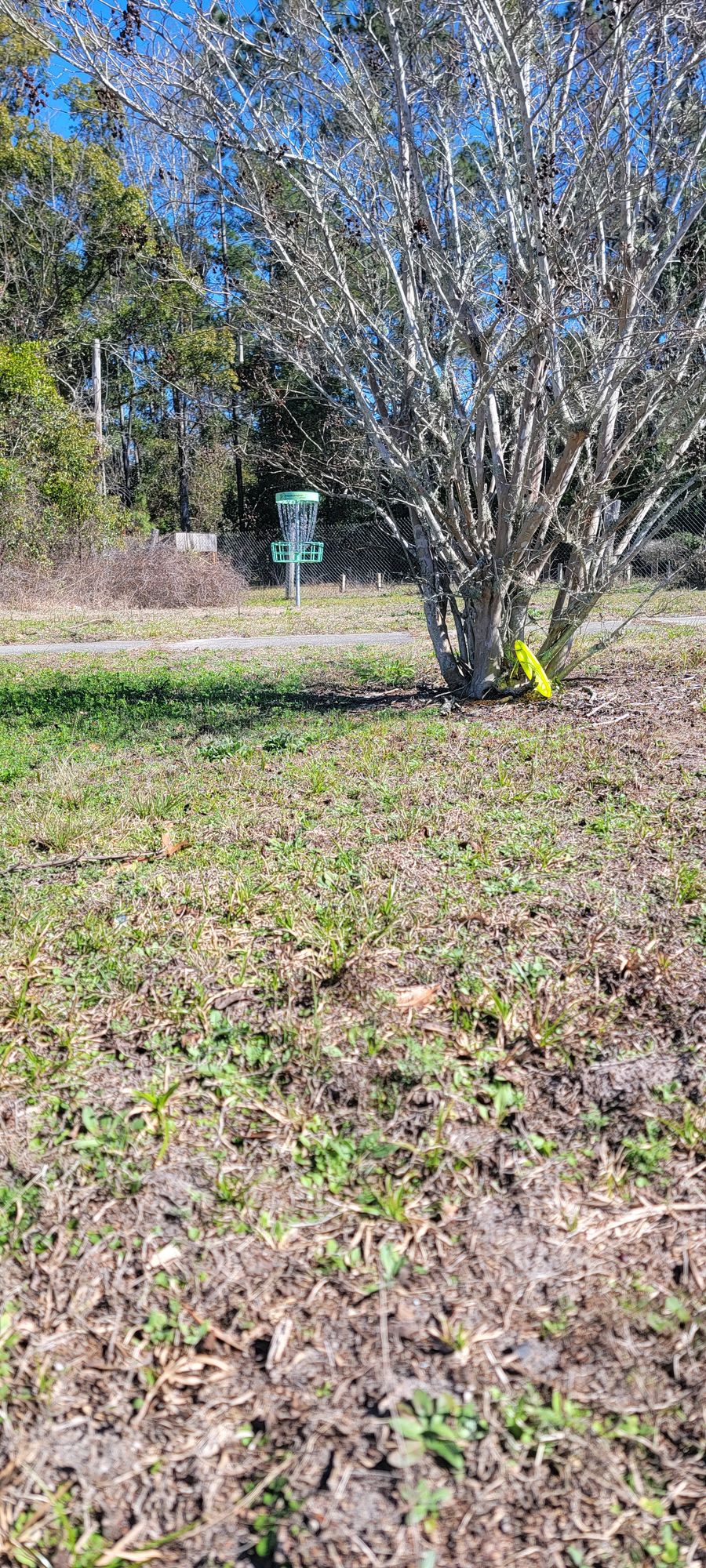 One of the many bushes you'll have to avoid on 6