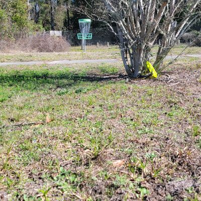 One of the many bushes you'll have to avoid on 6
