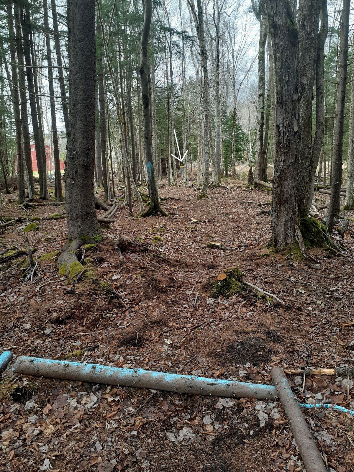 Hole #8