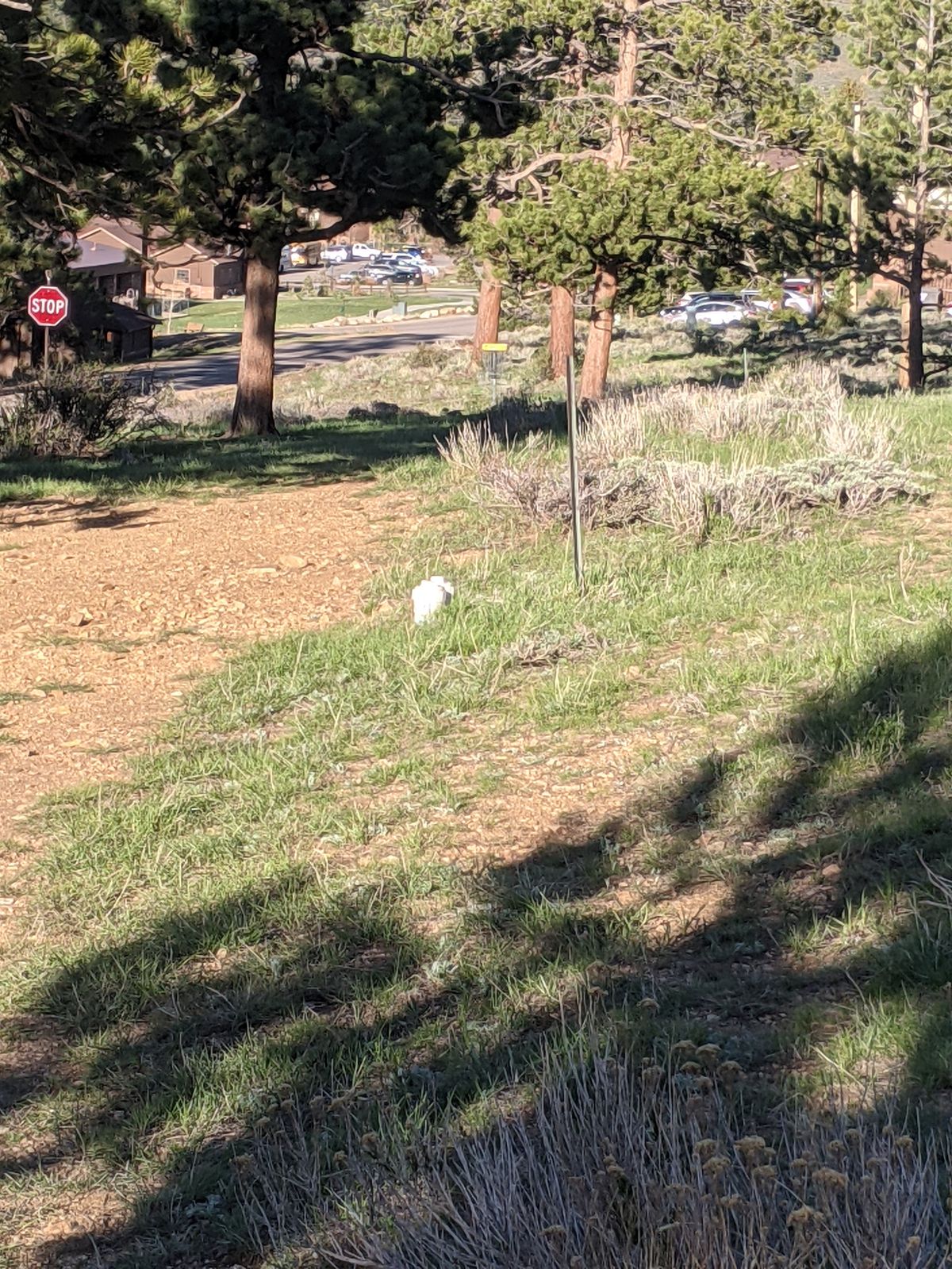 Hole 7