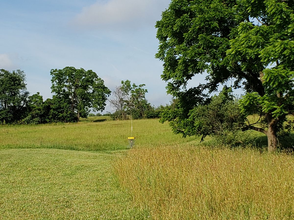 Basket hole 14