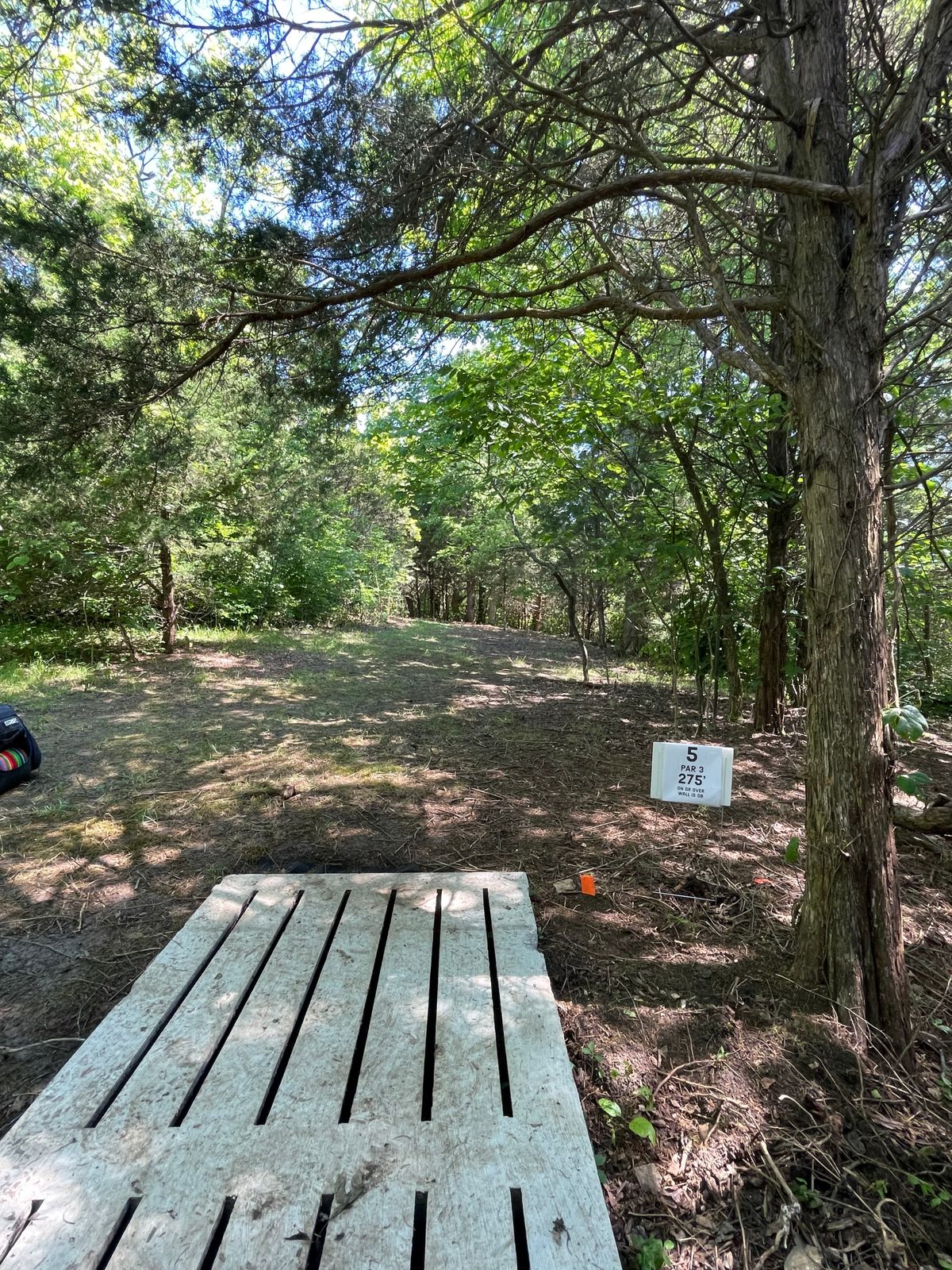 Hole 5