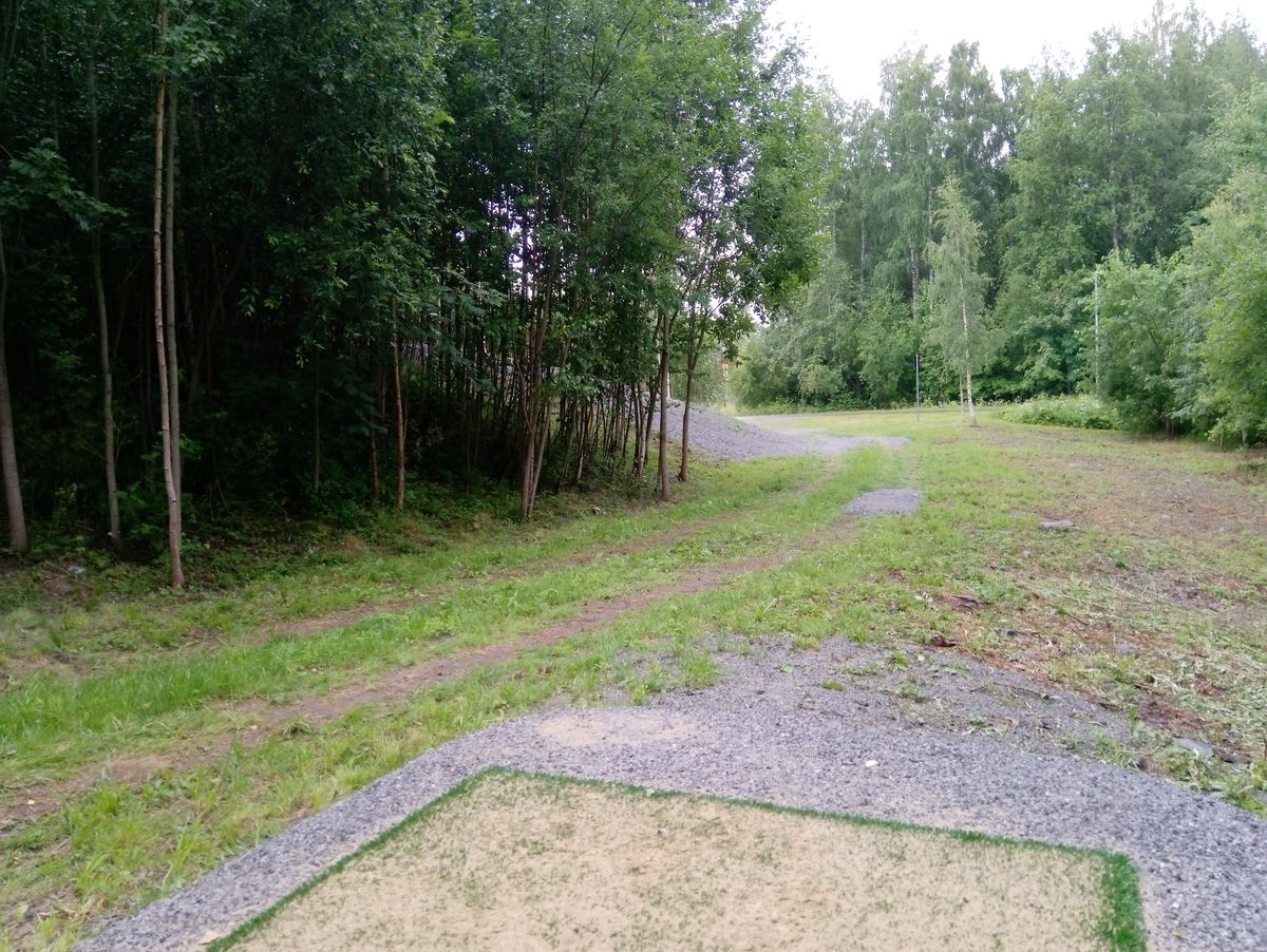 Väylän #8 DZ (13.7.2023).
