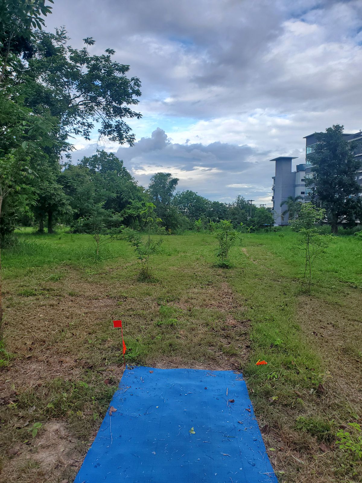 Hole 9 Tee