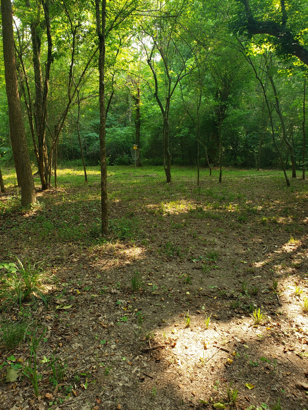 Hole 13 basket