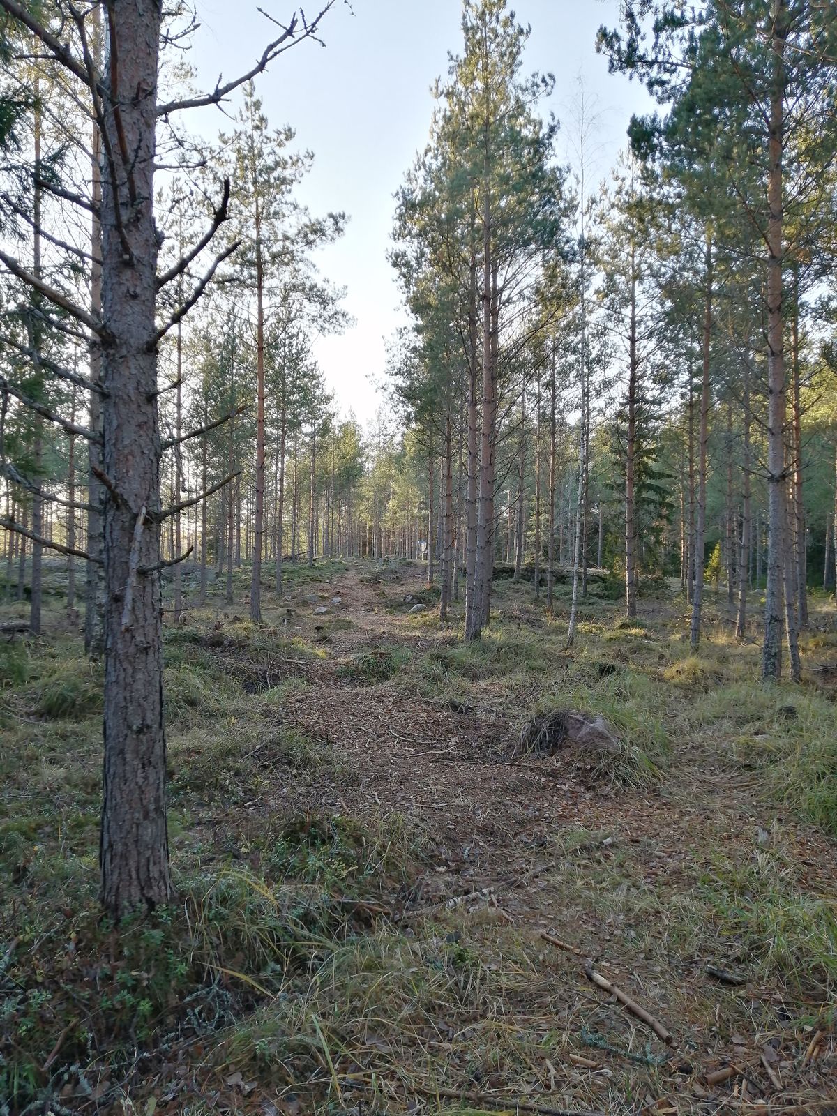 12. Väylä