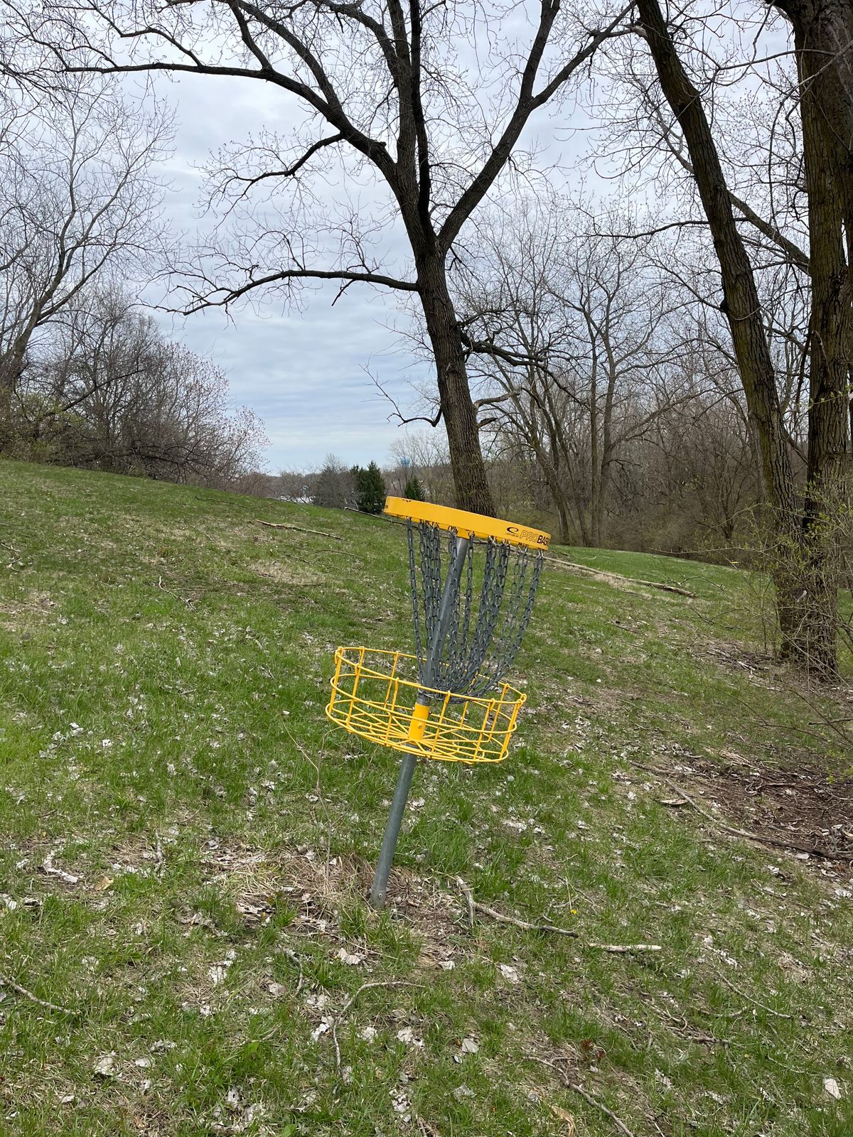 Leaning basket on hole 7