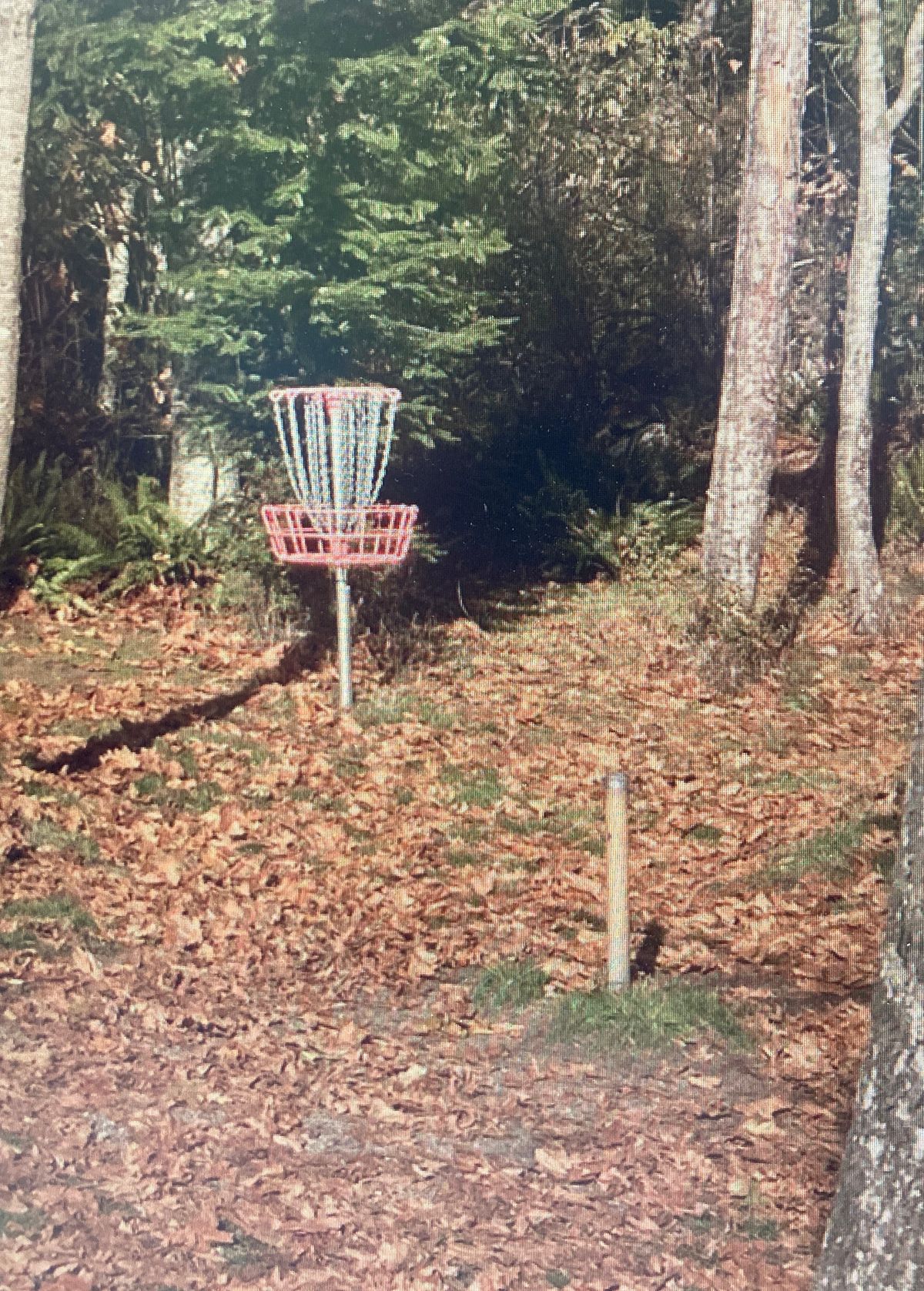 Hole 4 Basket in Winter Layout