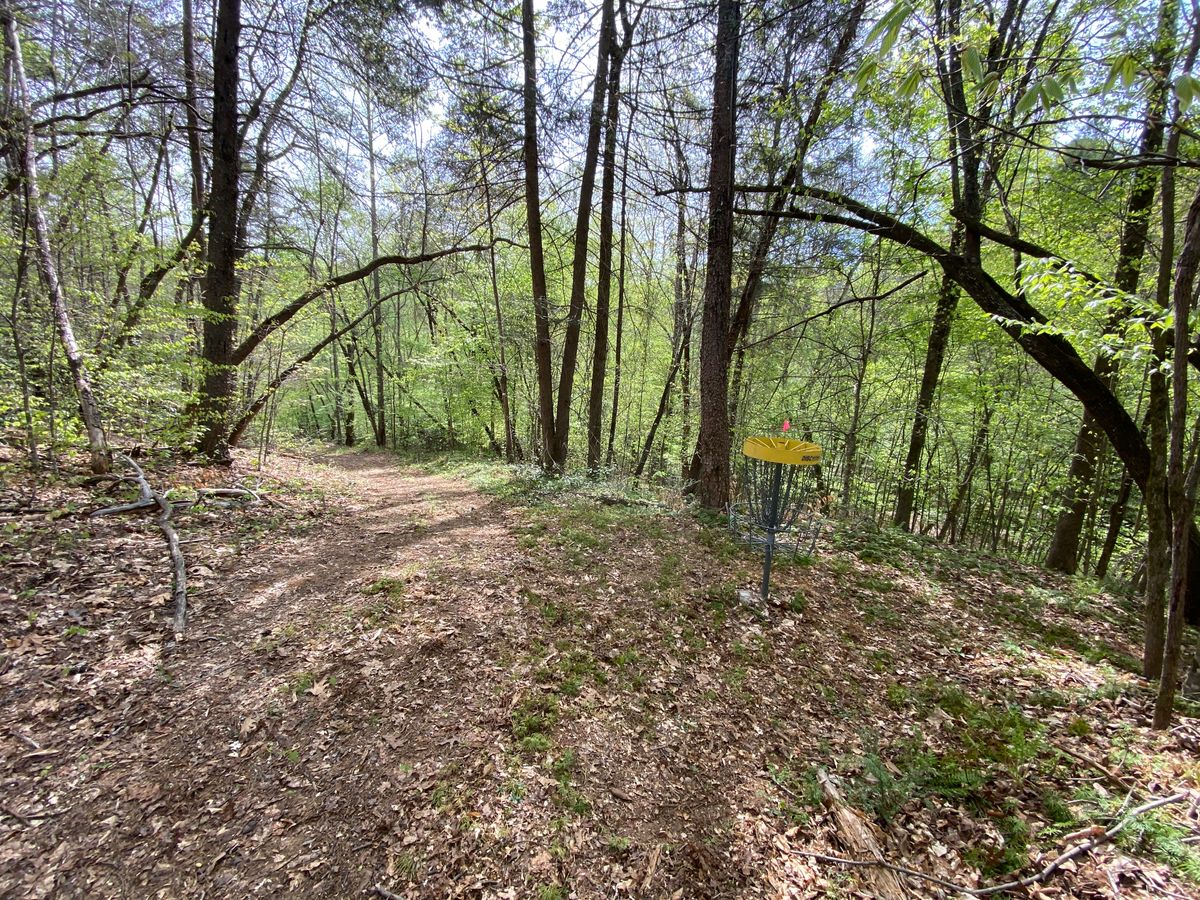 Hole 10 green facing tee.