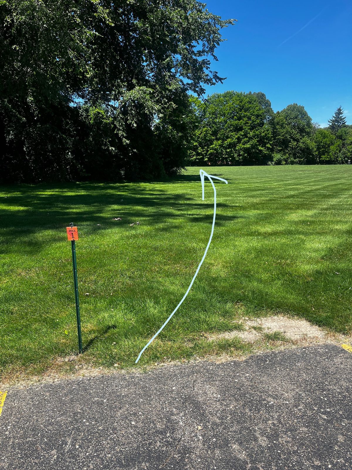 Hole 1 from the tee pad. The basket is obscured from the launch zone.