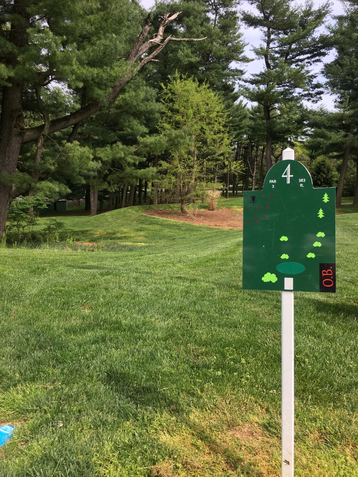 Favorite hole.  Pines are a tricky but great place to be.  RHFH off the tee sets you up nicely.