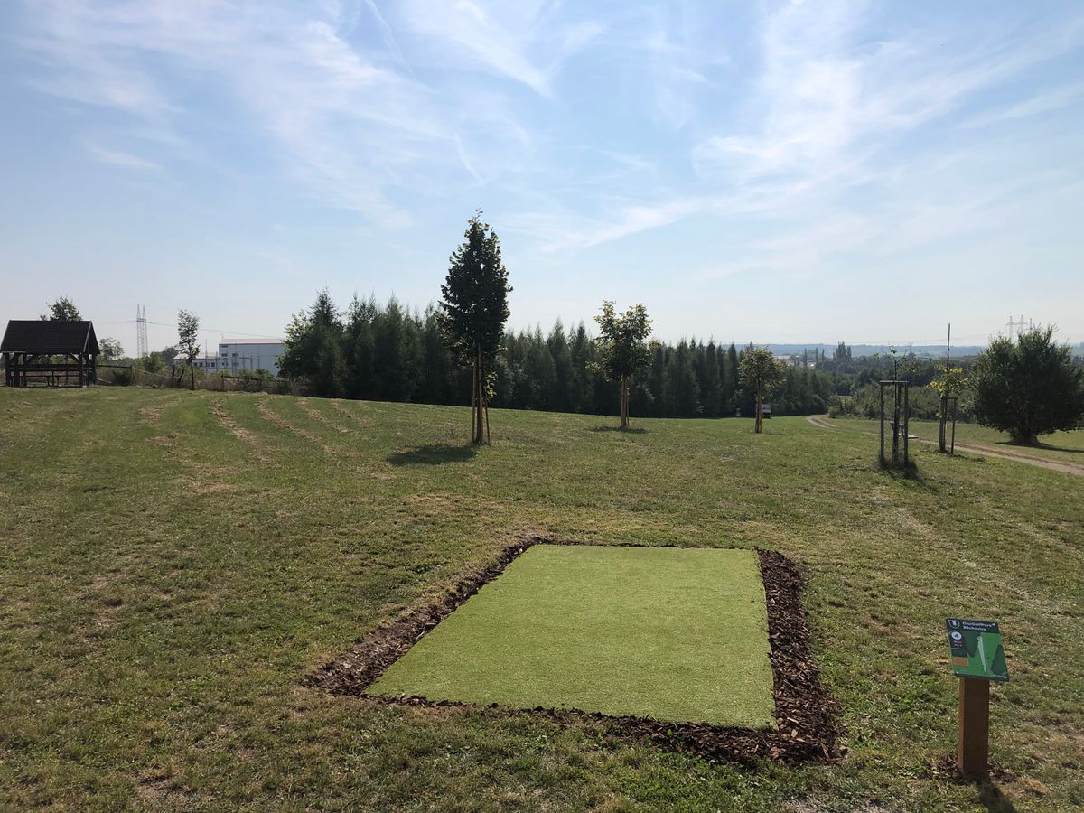 hole 4 tee