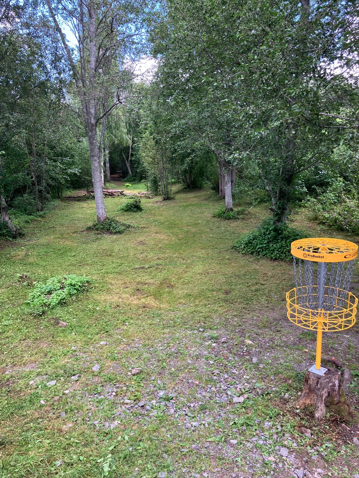 Hål 14, Green