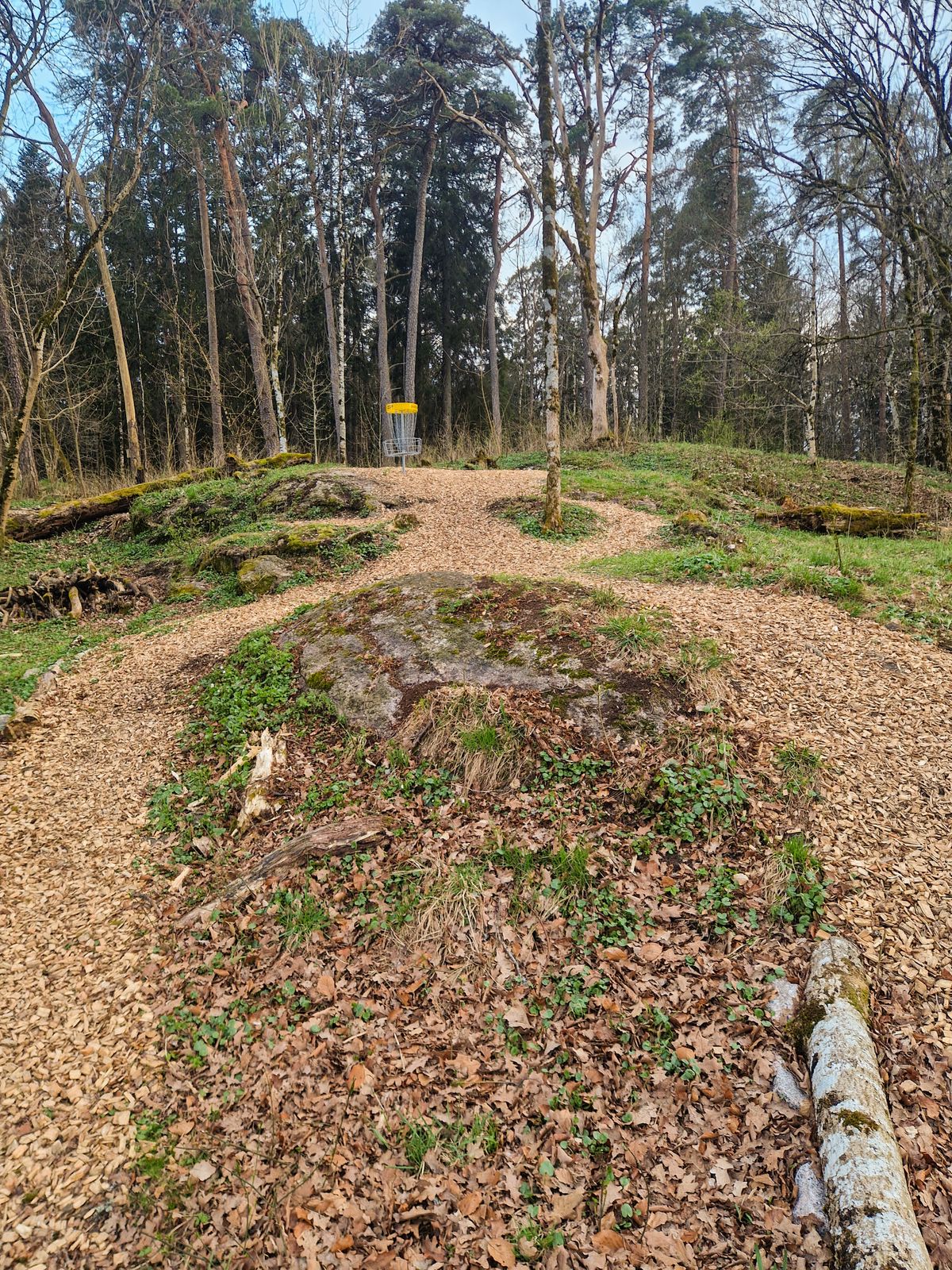 Hole 6