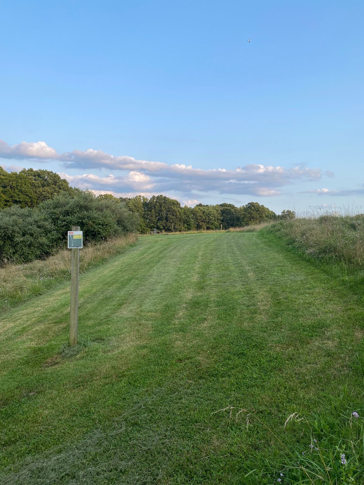 Hole 6 tee