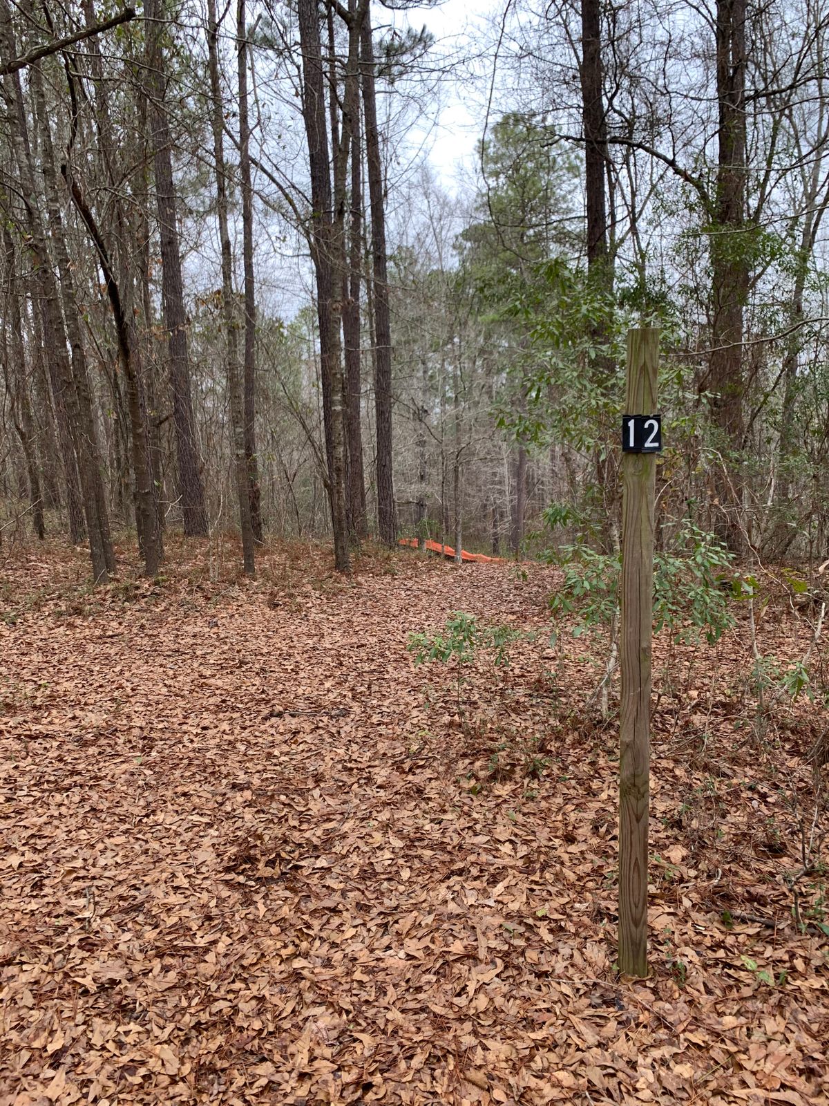 The wooded area below is under construction. No pin 12 location as map indicates.